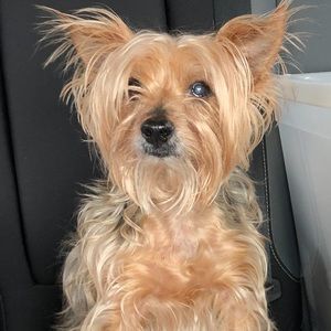 Meet your Posher, Mary